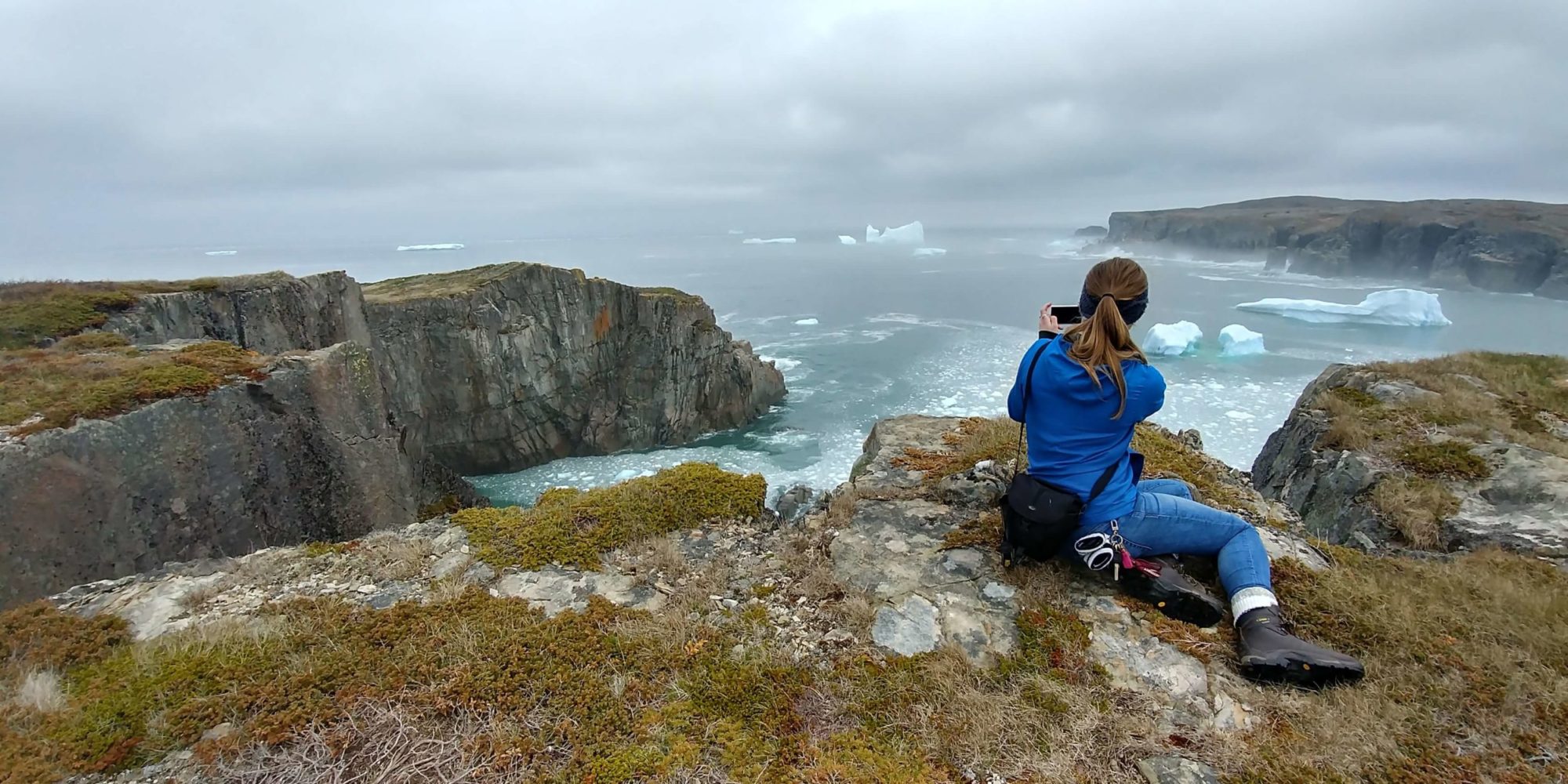 Trinity and Bonavista Peninsula, Newfoundland Activities Guide