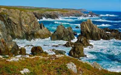 Sea Stacks on Cape Bonavista