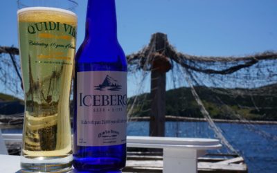 Quidi Vidi Iceberg Beer