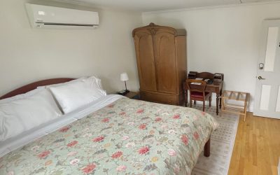 Queen Bed Armoir Desk mini fridge
