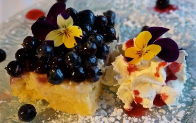 Blueberry Lemon Torte