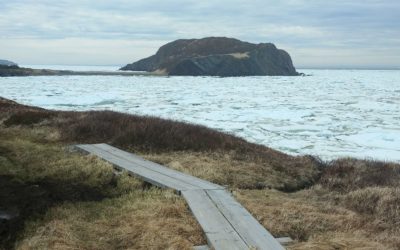 A board walk along the ocean overlooking fox island encircled by pack ice