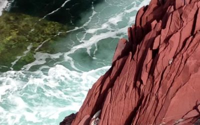 Red Cliffs of Tickle Cove
