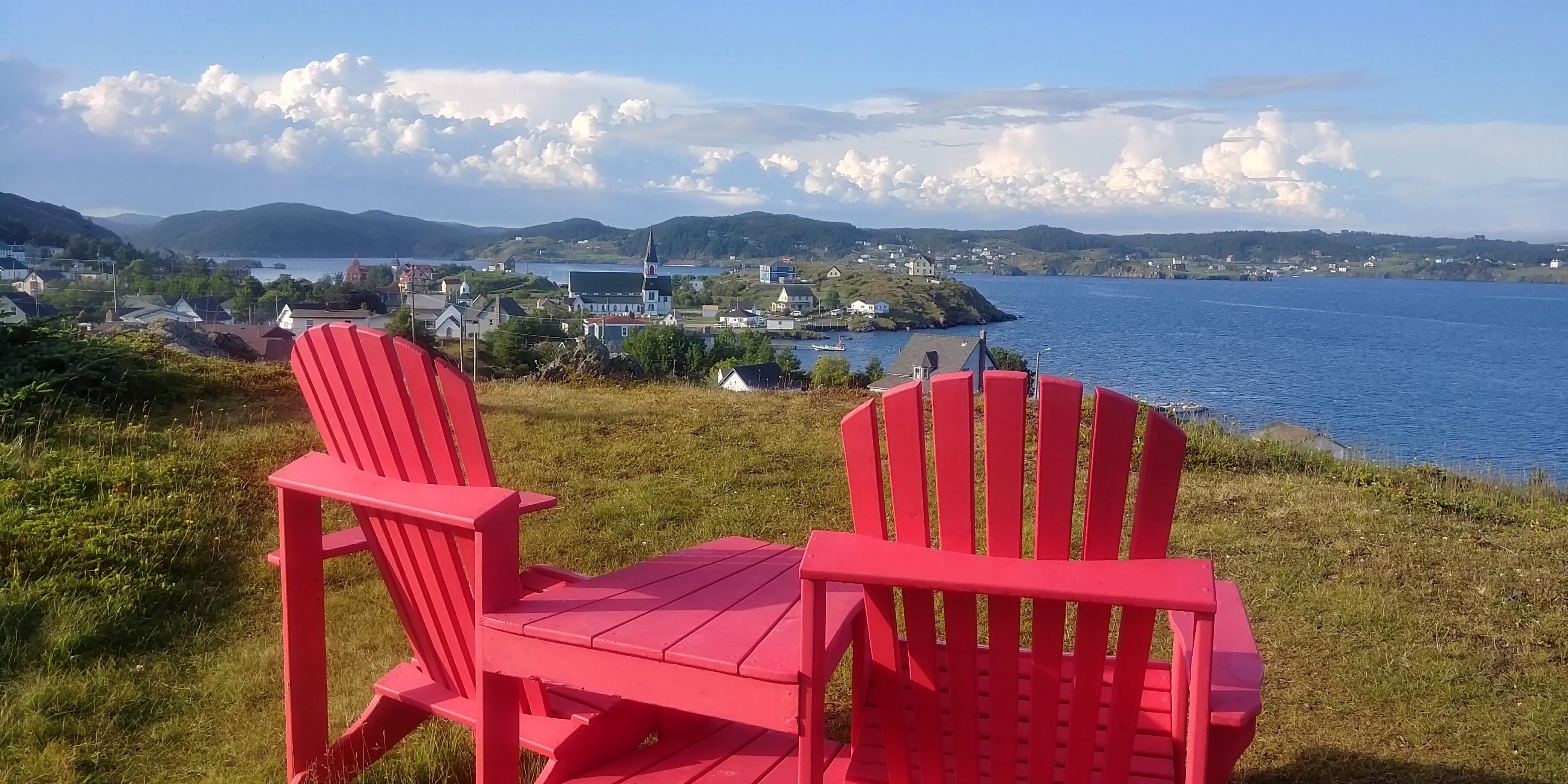 View of Trinity Harbour and town