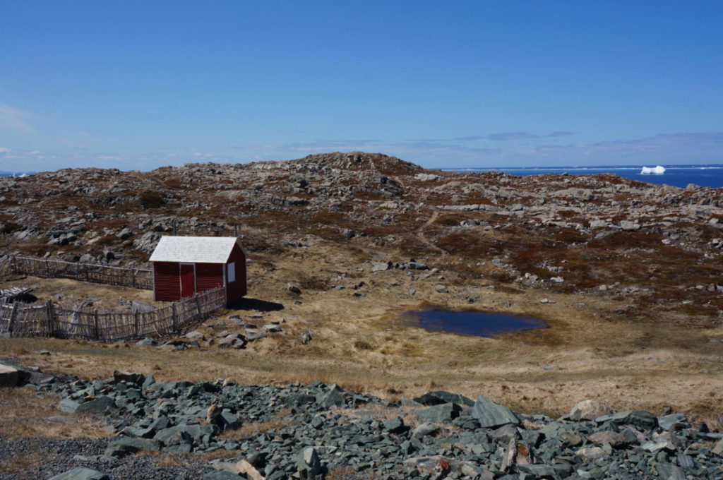 Cape Bonavista