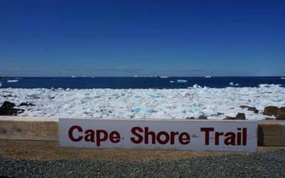 Pack ice along Cape Shore Trail