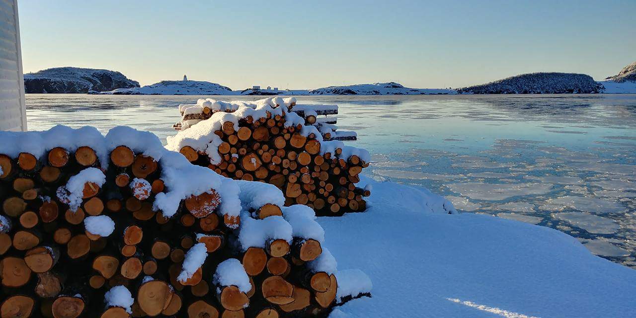 Woodpile covered in snow