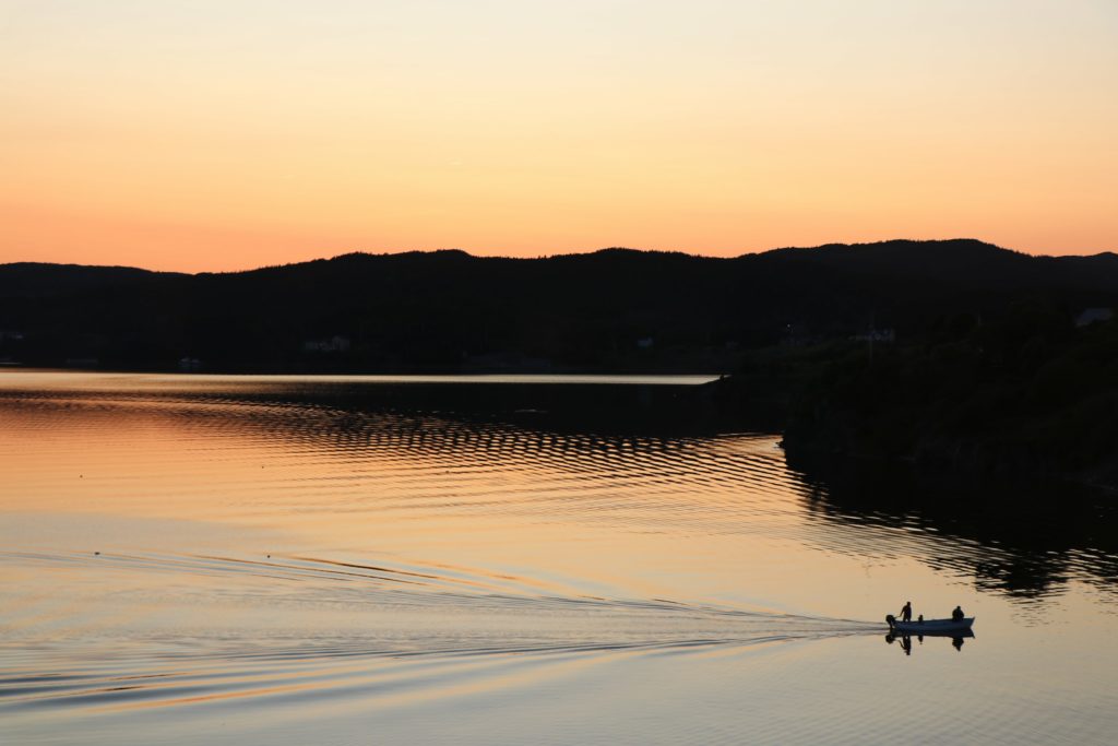 Fishermen return to Trinity Harbour with their catch of cod.