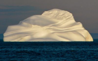 Newfoundland Iceberg